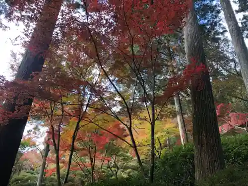 大興善寺の景色