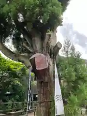 春日神社(岐阜県)