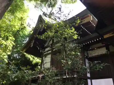 奥澤神社の本殿・本堂