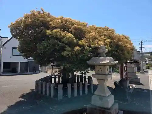 多摩川諏訪神社(東京都)