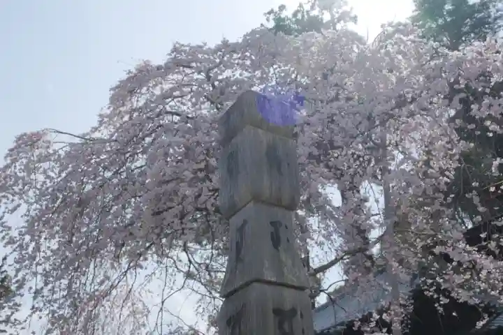 金剛寺のその他建物