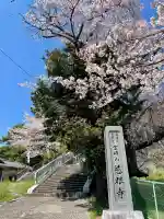 慈眼寺(神奈川県)