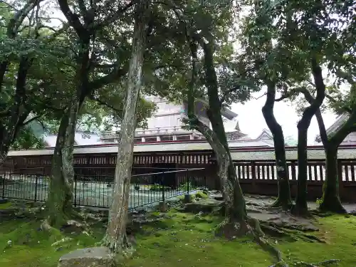 出雲大社(島根県)