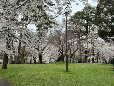 武蔵一宮氷川神社(埼玉県)