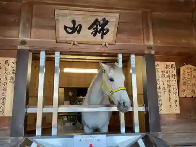 多度大社(三重県)