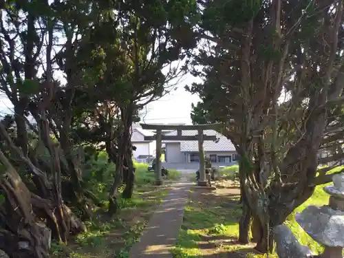 大杉神社の鳥居