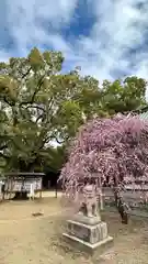 屯倉神社(大阪府)