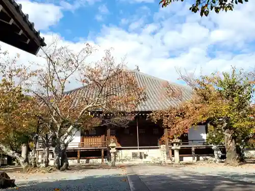 教信寺の本殿・本堂