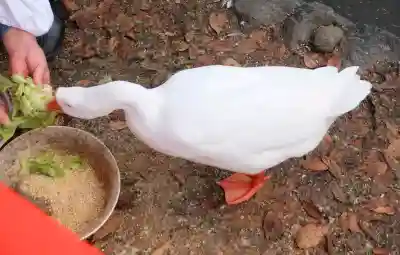 生島足島神社の{uncategorized: "未分類", other: "その他", undefined: "問題あり", building: "その他建物", grave: "お墓", sacred_gate: "鳥居", guardian: "狛犬", statue: "像", buddha: "仏像", history: "歴史", nature: "自然", garden: "庭園", animal: "動物", pagoda: "塔", temizu: "手水舎", mountain_gate: "山門・神門", sanctuary: "本殿・本堂", subordinate: "末社・摂社", art: "芸術", scenery: "景色", jizo: "地蔵", ema: "絵馬", goshuin: "御朱印", omikuji: "おみくじ", items: "授与品その他", amulet: "お守り", goshuincho: "御朱印帳", eats: "食事", festival: "お祭り", votive_dance: "神楽", shichigosan: "七五三参", wedding: "結婚式", experience: "体験その他", initially: "初詣", around: "周辺", anti_infection: "感染症対策"}