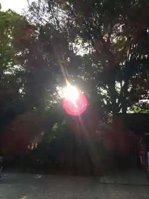賀茂御祖神社（下鴨神社）のその他建物