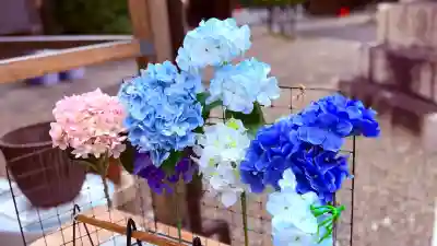 京都乃木神社(京都府)