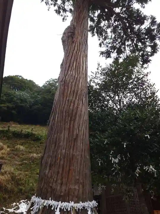 須我神社(島根県)