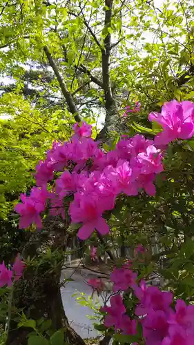 忌宮神社(山口県)