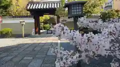 大報恩寺（千本釈迦堂）の山門