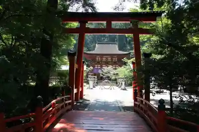丹生都比売神社の鳥居