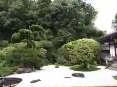 報国寺の庭園