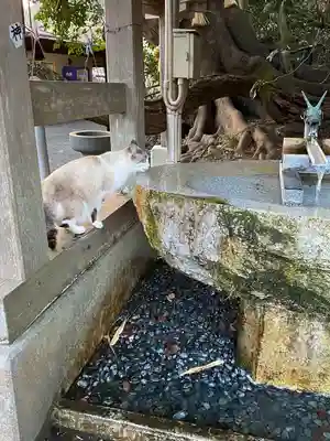 八大龍王水神(宮崎県)