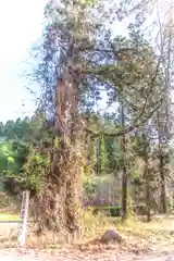 六所神社(山形県)