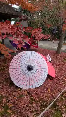 勝林寺(京都府)