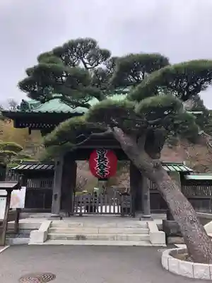 長谷寺の山門・神門