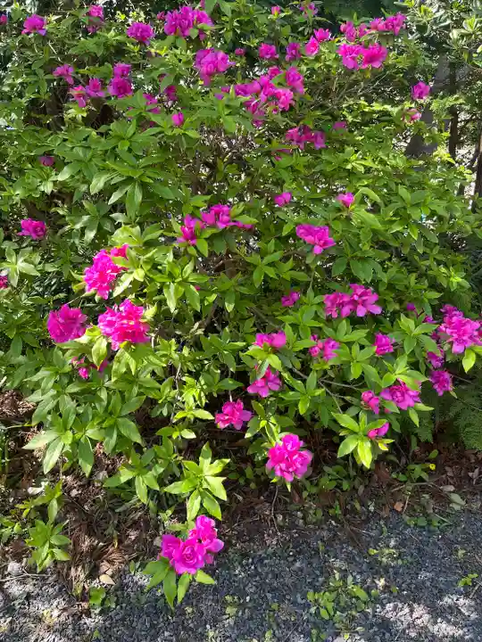 遠見岬神社(千葉県)