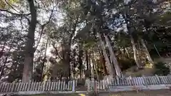 大年神社(兵庫県)