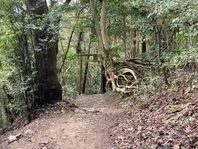 岩戸神社の{uncategorized: "未分類", other: "その他", undefined: "問題あり", building: "その他建物", grave: "お墓", sacred_gate: "鳥居", guardian: "狛犬", statue: "像", buddha: "仏像", history: "歴史", nature: "自然", garden: "庭園", animal: "動物", pagoda: "塔", temizu: "手水舎", mountain_gate: "山門・神門", sanctuary: "本殿・本堂", subordinate: "末社・摂社", art: "芸術", scenery: "景色", jizo: "地蔵", ema: "絵馬", goshuin: "御朱印", omikuji: "おみくじ", items: "授与品その他", amulet: "お守り", goshuincho: "御朱印帳", eats: "食事", festival: "お祭り", votive_dance: "神楽", shichigosan: "七五三参", wedding: "結婚式", experience: "体験その他", initially: "初詣", around: "周辺", anti_infection: "感染症対策"}