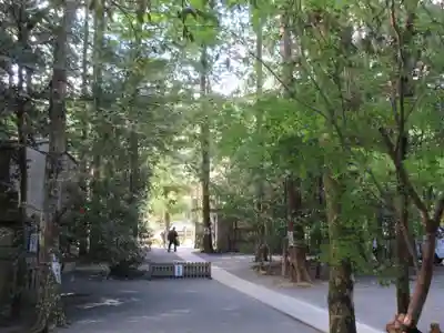 椿大神社のその他建物