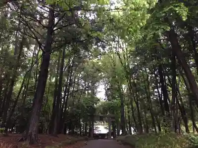 東蕗田天満社のその他建物