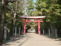 野田八幡宮の鳥居