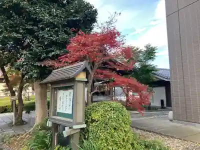 安樂寺(東京都)