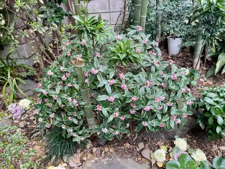 覚性寺の{uncategorized: "未分類", other: "その他", undefined: "問題あり", building: "その他建物", grave: "お墓", sacred_gate: "鳥居", guardian: "狛犬", statue: "像", buddha: "仏像", history: "歴史", nature: "自然", garden: "庭園", animal: "動物", pagoda: "塔", temizu: "手水舎", mountain_gate: "山門・神門", sanctuary: "本殿・本堂", subordinate: "末社・摂社", art: "芸術", scenery: "景色", jizo: "地蔵", ema: "絵馬", goshuin: "御朱印", omikuji: "おみくじ", items: "授与品その他", amulet: "お守り", goshuincho: "御朱印帳", eats: "食事", festival: "お祭り", votive_dance: "神楽", shichigosan: "七五三参", wedding: "結婚式", experience: "体験その他", initially: "初詣", around: "周辺", anti_infection: "感染症対策"}