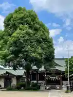 若宮神社の本殿・本堂