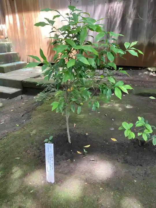 鉾宮神社(鶴嶺八幡宮境内社)(神奈川県)