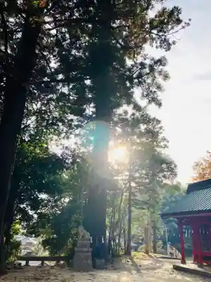 高瀧神社(千葉県)