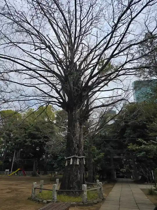 赤坂氷川神社(東京都)