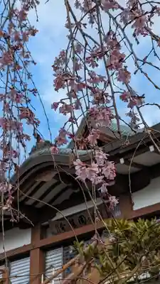 松ヶ崎大黒天 妙圓寺（妙円寺）(京都府)