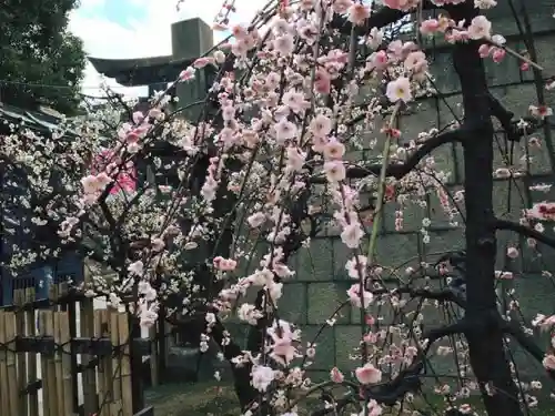 大阪天満宮の庭園