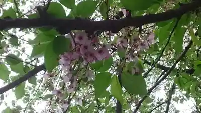 秋葉神社(東京都)