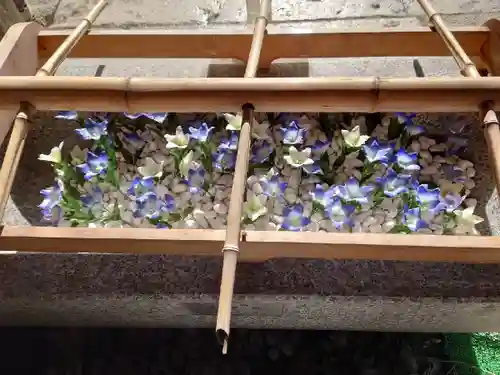 晴明神社の手水舎