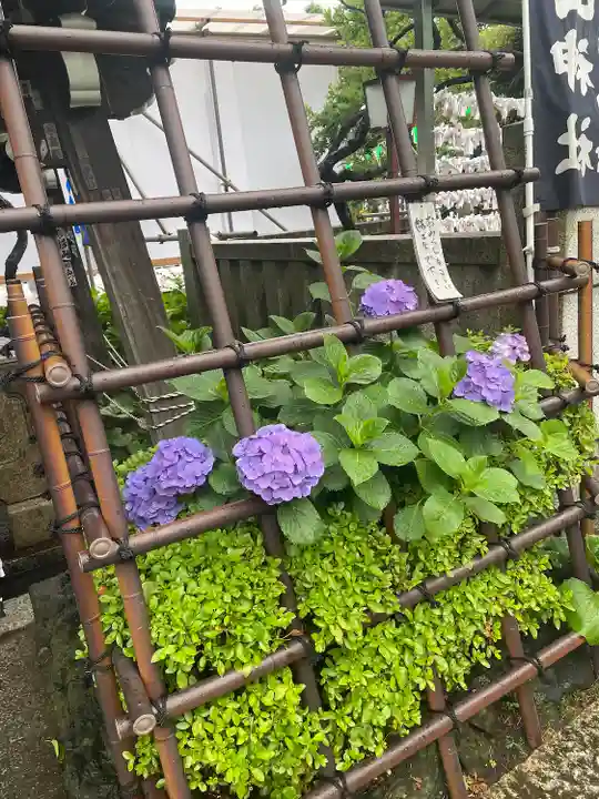 白山神社(東京都)
