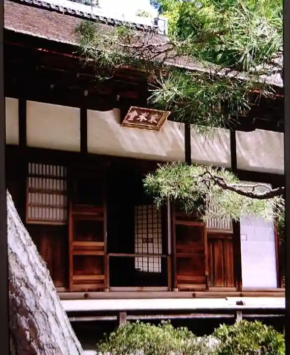 慈照寺(慈照禅寺・銀閣寺)(京都府)