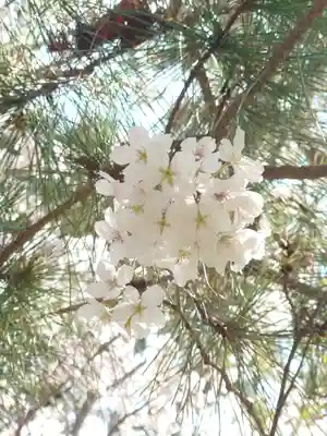 鶴嶺八幡宮(神奈川県)