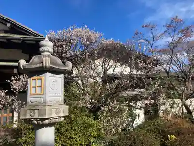 薬師院(神奈川県)