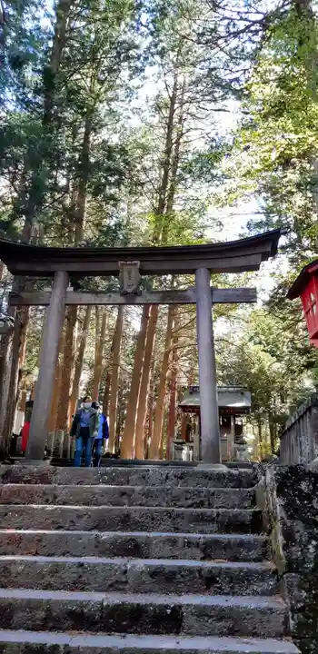 北口本宮冨士浅間神社の鳥居