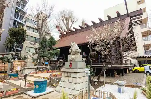 高円寺氷川神社の本殿・本堂