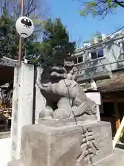 川越熊野神社の狛犬