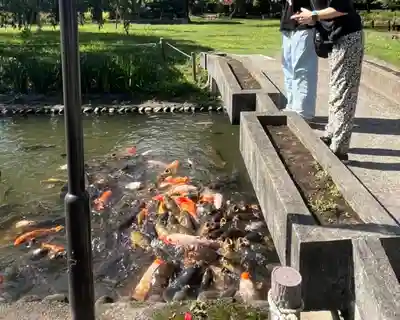 伊佐須美神社(福島県)