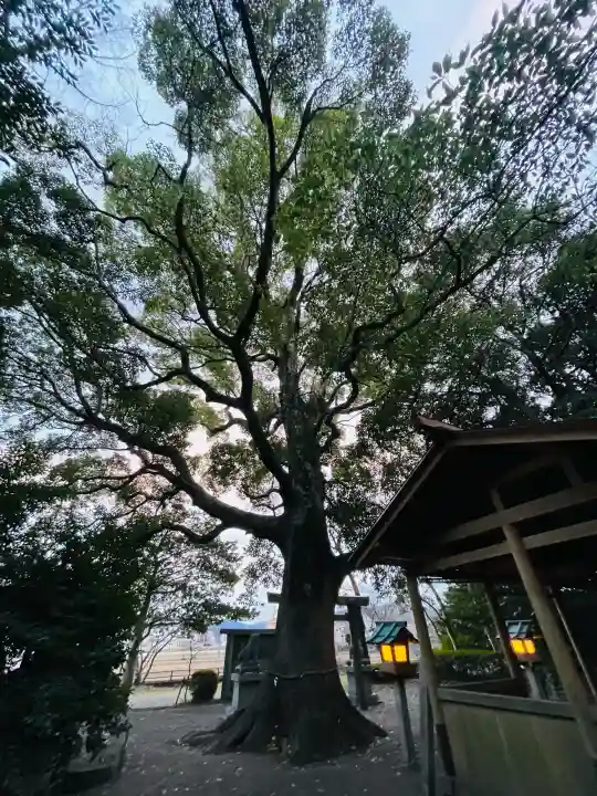 箕曲神社の{uncategorized: "未分類", other: "その他", undefined: "問題あり", building: "その他建物", grave: "お墓", sacred_gate: "鳥居", guardian: "狛犬", statue: "像", buddha: "仏像", history: "歴史", nature: "自然", garden: "庭園", animal: "動物", pagoda: "塔", temizu: "手水舎", mountain_gate: "山門・神門", sanctuary: "本殿・本堂", subordinate: "末社・摂社", art: "芸術", scenery: "景色", jizo: "地蔵", ema: "絵馬", goshuin: "御朱印", omikuji: "おみくじ", items: "授与品その他", amulet: "お守り", goshuincho: "御朱印帳", eats: "食事", festival: "お祭り", votive_dance: "神楽", shichigosan: "七五三参", wedding: "結婚式", experience: "体験その他", initially: "初詣", around: "周辺", anti_infection: "感染症対策"}