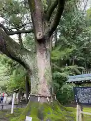 事任八幡宮(静岡県)